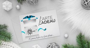 Read more about the article Pour Noël, faites plaisir à vos amis et à votre famille avec la Carte Cadeau DANÇ’ART !